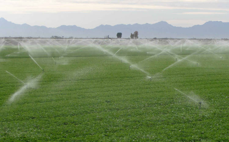 Watering crops