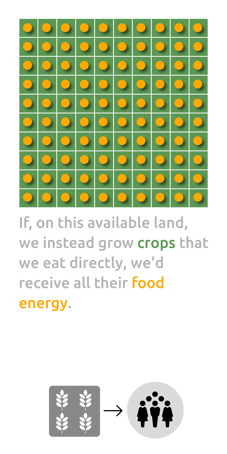 Food Energy Diagram 3