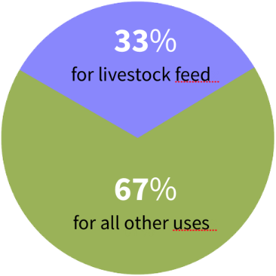 Global cropland used to grow livestock feed (2012)