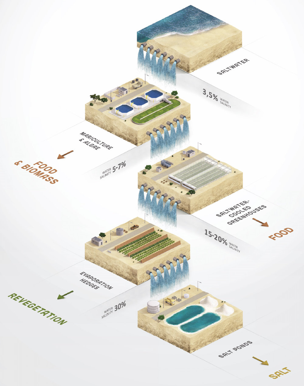 SFP's saltwater value chain diaagram