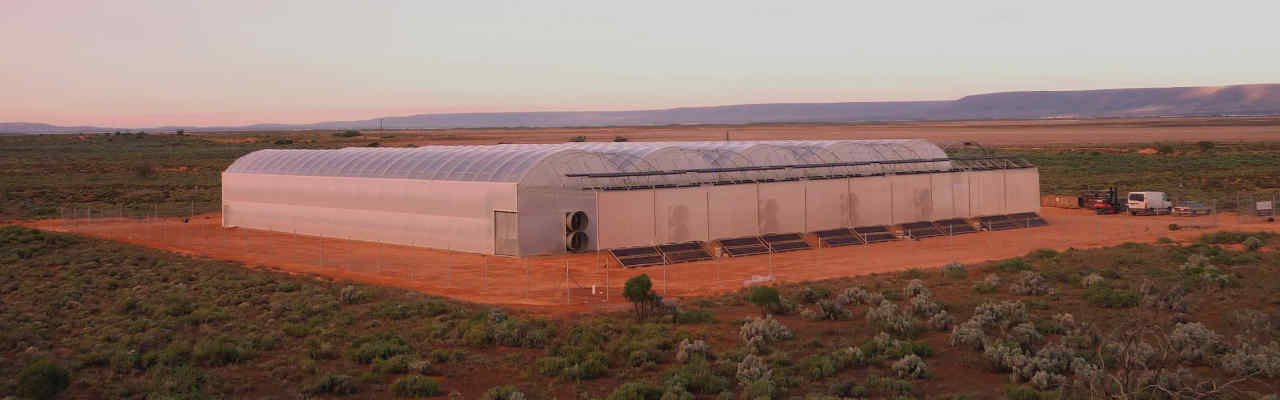 Sundrop Farms 2010 pilot facility